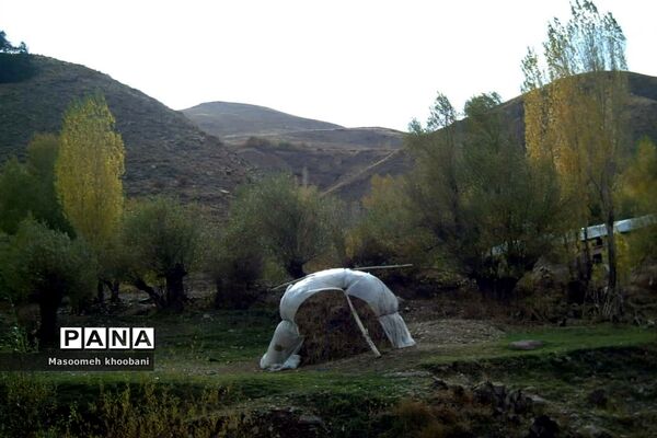 طبیعت زیبای روستای هویر شهرستان دماوند