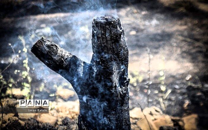 آمادگی یگان حفاظت محیط زیست برای کاهش حریق مناطق حفاظت شده