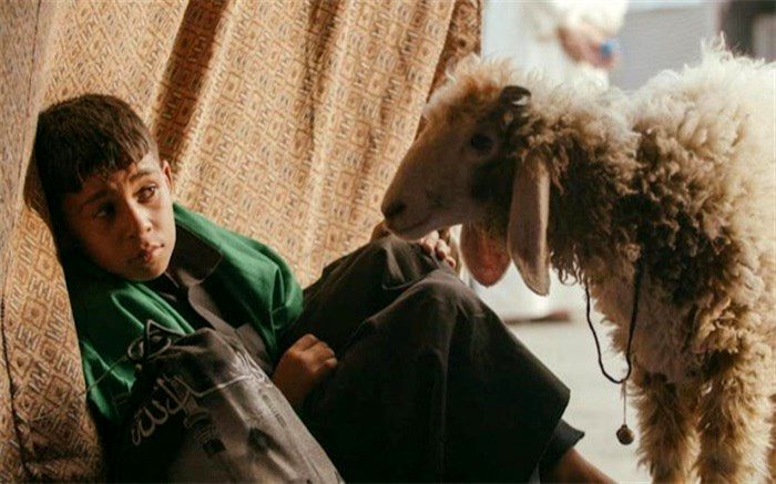 ماجرای پسرکی که با گوسفند قربانی به زیارت کربلا می‌رود