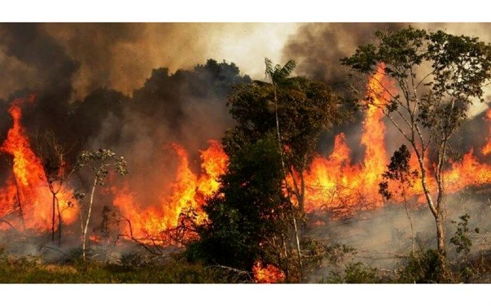 8 هزار متر مربع از مناطق جنگلی فندقلو طعمه حریق شد