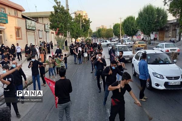 عزاداری شهادت امام رضا (ع) در بوشهر