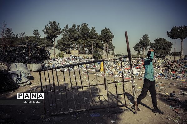 جایی میان زباله‌ها