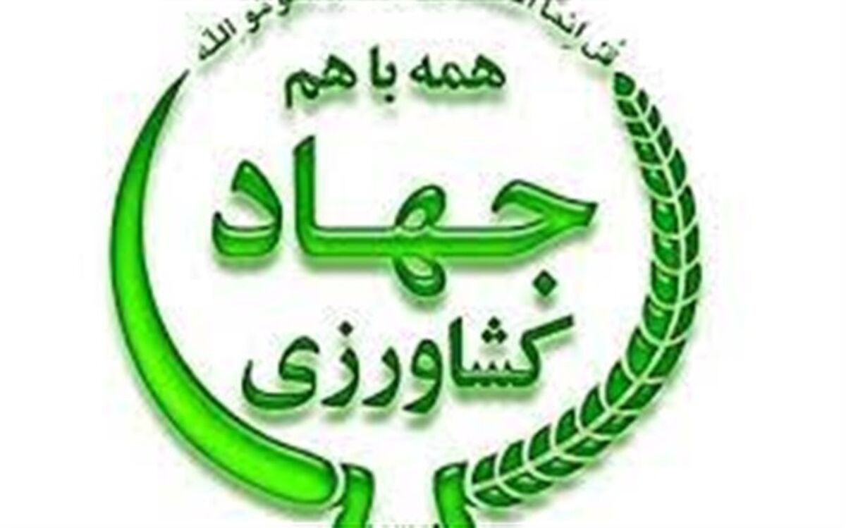 تولید 118 هزار تن محصول کشاورزی در شمال غرب کشور