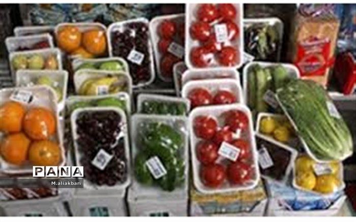 تکمیل زنجیره تولید با راه‌اندازی صنایع تبدیلی و تکمیلی