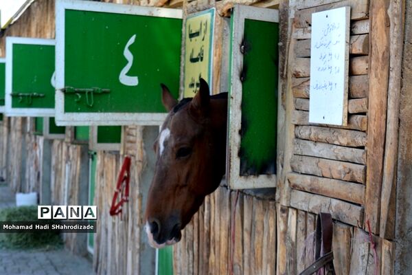 مسابقات اسب‌سواری به‌مناسبت هفته تربیت بدنی