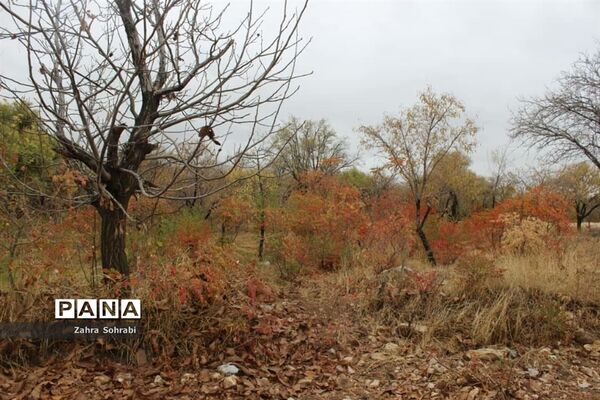 طبیعت پاییزی روستای کهک شهرستان غرق‌آباد