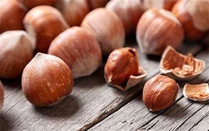 فواید معجزه آسای مصرف فندوق؛ از درمان کم‌خونی تا تقویت سلامت بدن