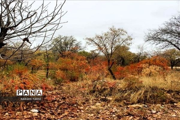 طبیعت پاییزی در روستاهای الگان و کهندان