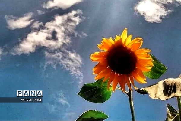 طبیعت پاییزی در روستاهای الگان و کهندان