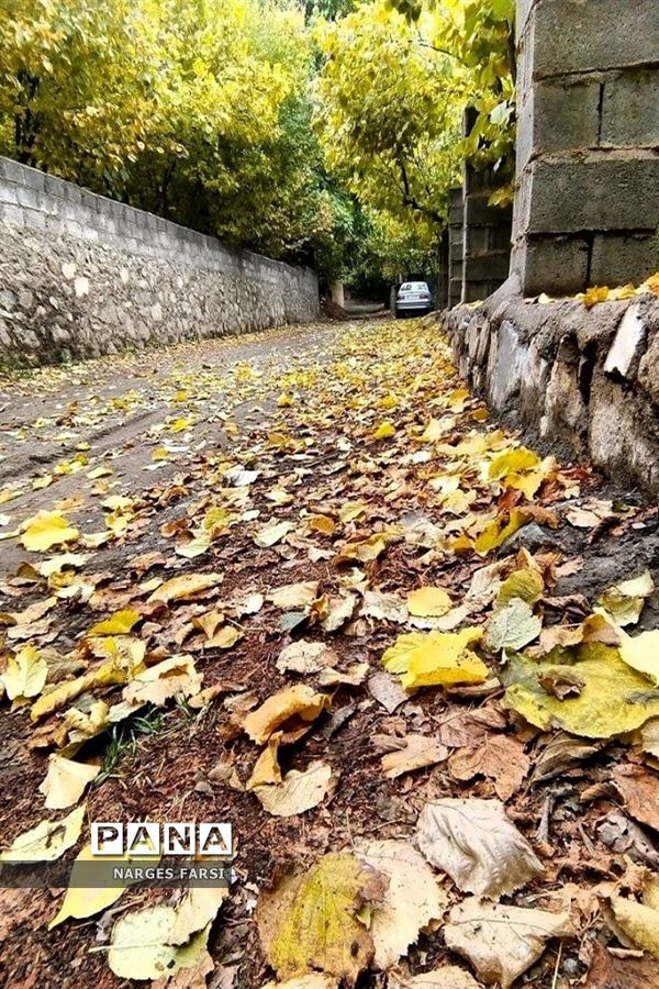 طبیعت پاییزی در روستاهای الگان و کهندان