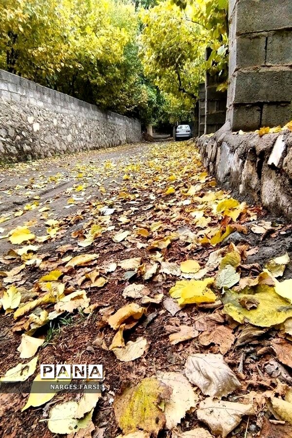 طبیعت پاییزی در روستاهای الگان و کهندان