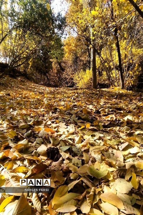 طبیعت پاییزی در روستاهای الگان و کهندان