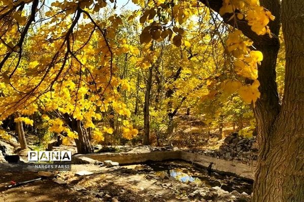 طبیعت پاییزی در روستاهای الگان و کهندان