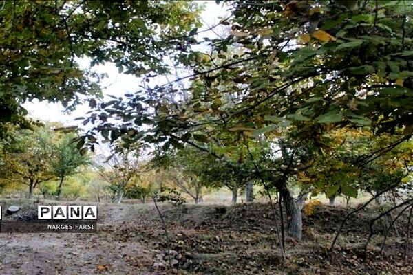 طبیعت پاییزی در روستاهای الگان و کهندان