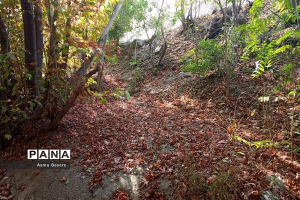 طبیعت طلایی رنگ در همین حوالی