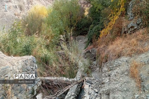 طبیعت طلایی رنگ در همین حوالی