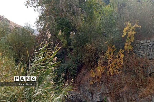 طبیعت طلایی رنگ در همین حوالی