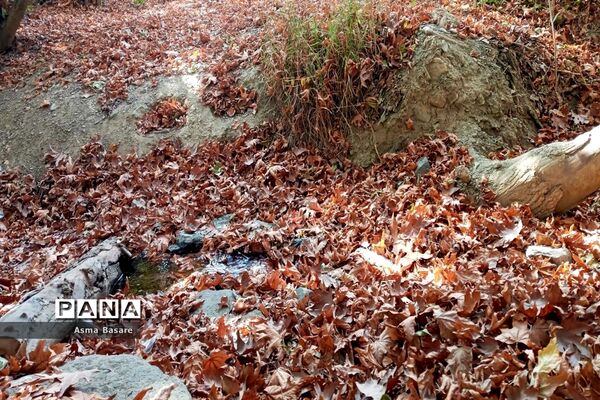طبیعت طلایی رنگ در همین حوالی