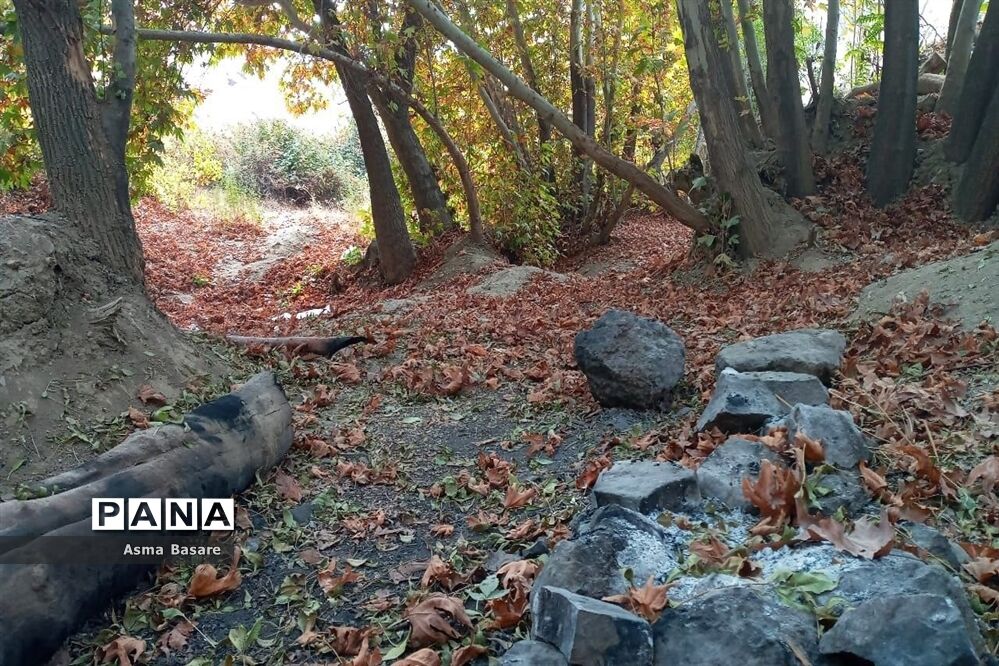 طبیعت طلایی رنگ در همین حوالی