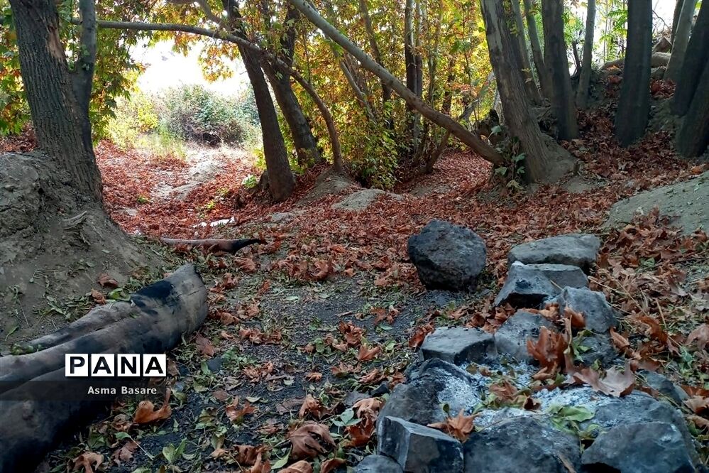 طبیعت طلایی رنگ در همین حوالی