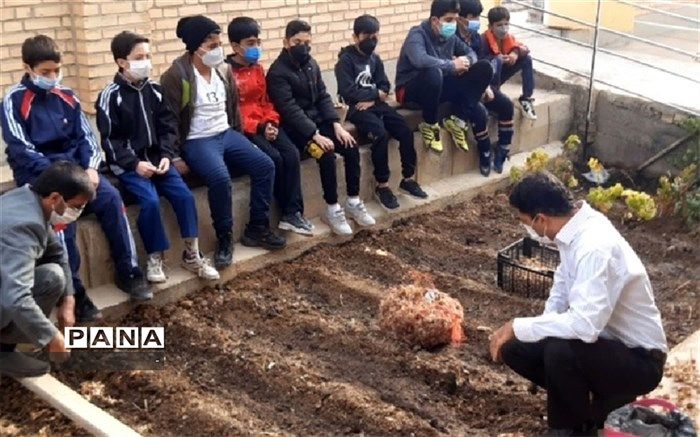 مدرسه‌ای همراه با کشت زعفران