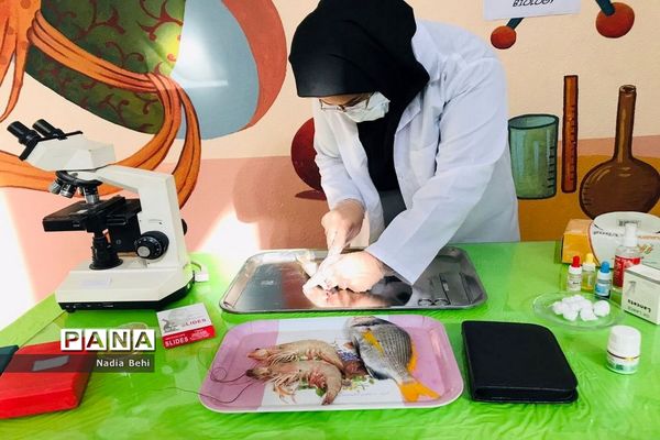 همایش روز آزمایشگاه در پژوهش سرای شهید خوشبخت بوشهر