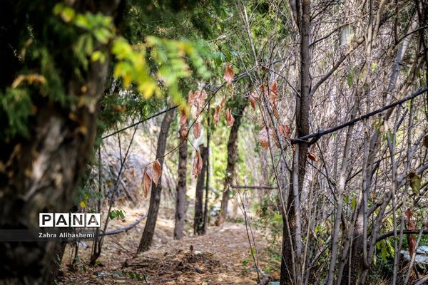 طبیعت پاییزی اردوگاه چمران