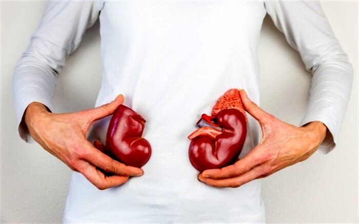 چگونه افزایش دما خطر ابتلا به بیماری کلیوی را افزایش می‌دهد؟
