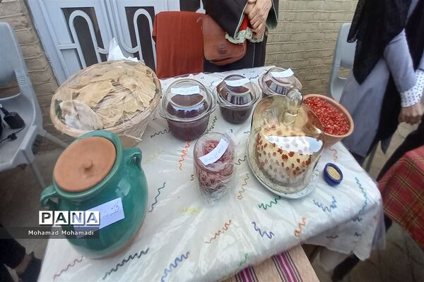 افتتاحیه جشنواره انار آونگی کاشمر