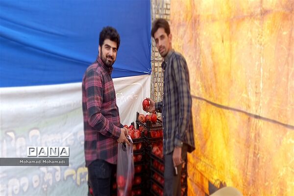 افتتاحیه جشنواره انار آونگی کاشمر
