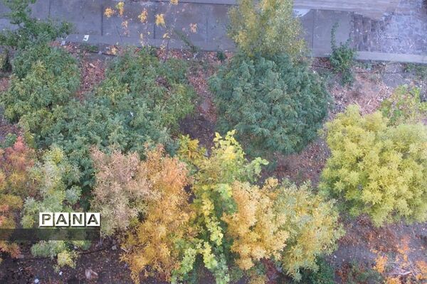 هوای بارانی  پاییز در پردیس