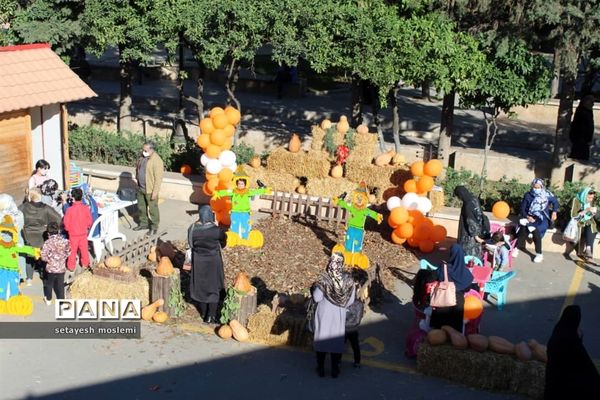 جشنواره بومی و محلی در مازندران