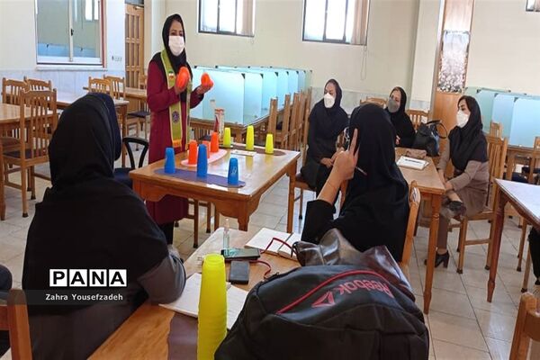 برگزاری دوره آموزشی مربیگری و داوری بازی‌های فکری در فارس