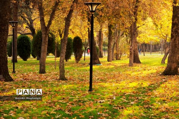 پاییز در مشهد