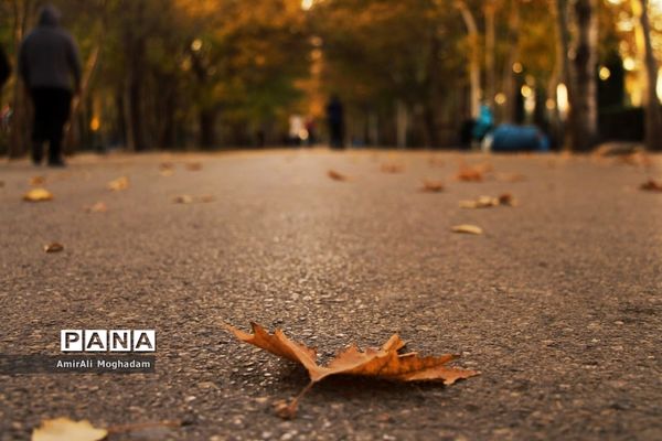 پاییز در مشهد