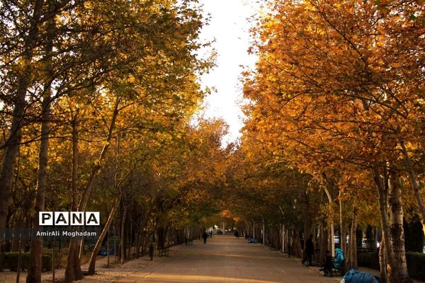 پاییز در مشهد