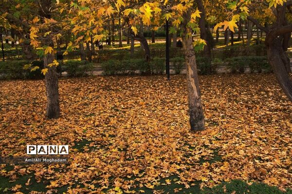 پاییز در مشهد