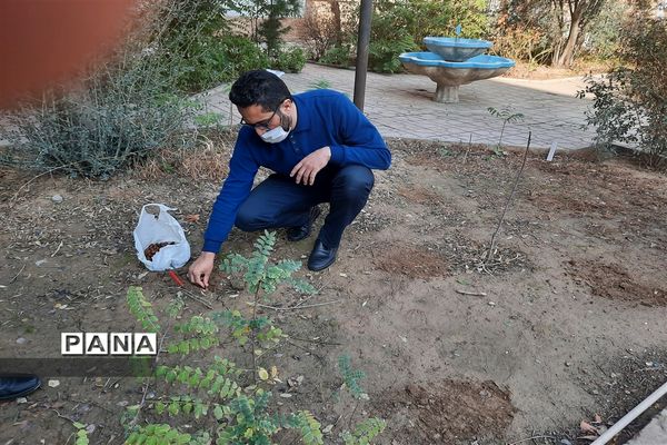 کاشت درخت بلوط به مناسبت میلاد امام حسن عسکری (ع) در منطقه ۱۵