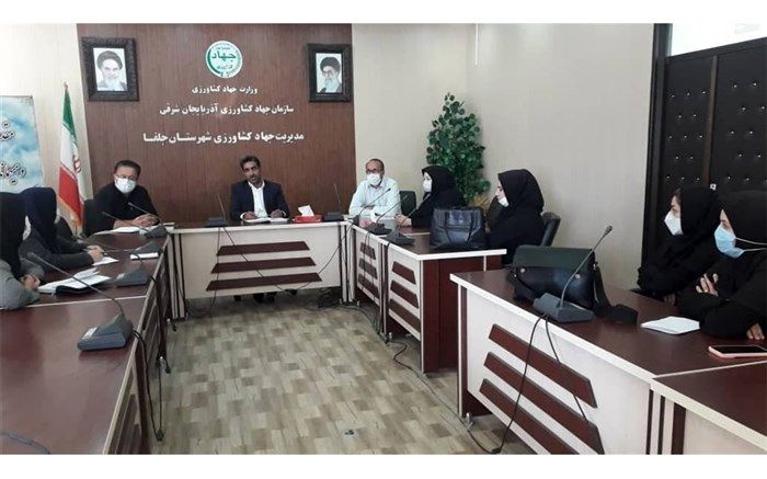 صادرات 2473 تن محصولات کشاورزی در مهر ماه از مرز های نوردوز و جلفا