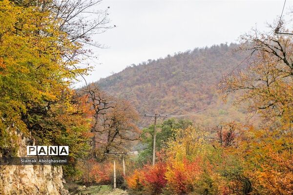 طبیعت پاییزی دودانگه ساری