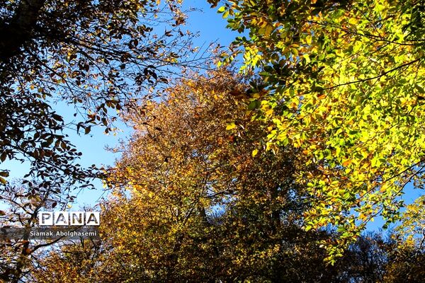 طبیعت پاییزی دودانگه ساری