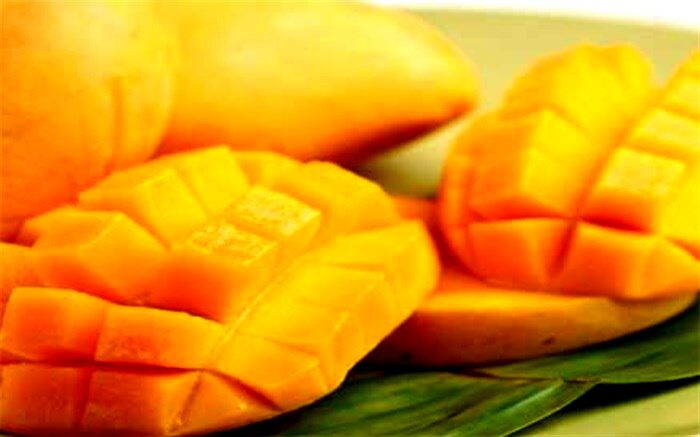 خواص مغز هسته انبه