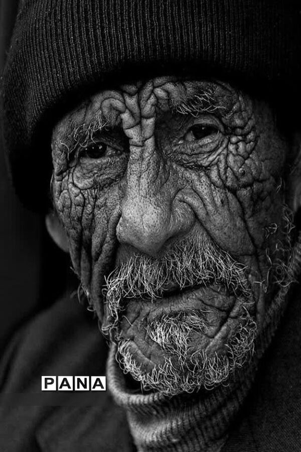 نمایشگاه نقاشی