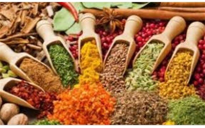 کشت گیاهان دارویی ۲۹۸ هزار هکتار افزایش یافت