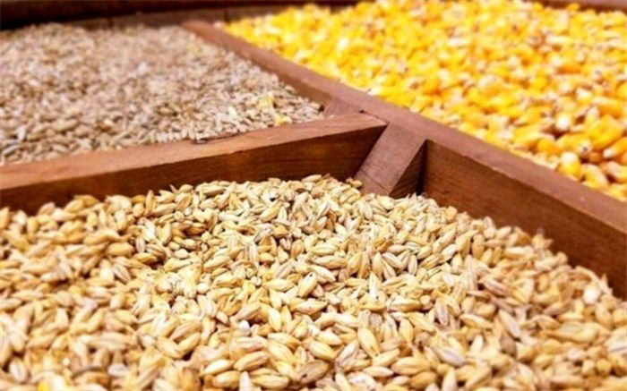 ارز ۴٢٠٠ تومانی تا پایان سال حذف نمی‌شود