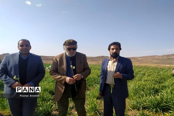 تقدیر از داریوش ارجمند هنرمند پیشکسوت سینما و تلویزیون در فرمانداری شهرستان خوسف