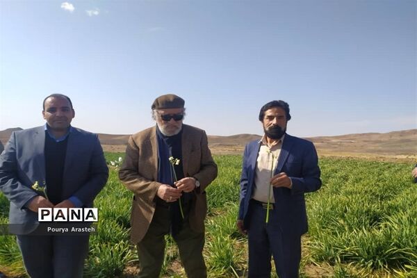 تقدیر از داریوش ارجمند هنرمند پیشکسوت سینما و تلویزیون در فرمانداری شهرستان خوسف