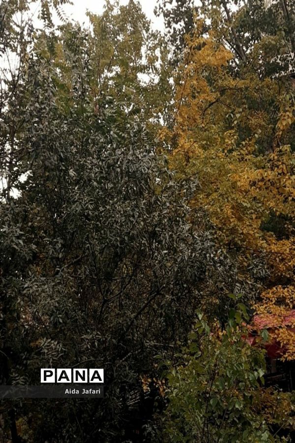 طبیعت پاییزی تهران