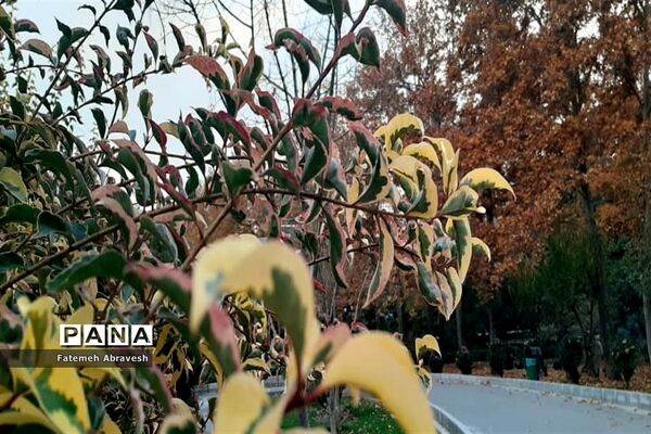 طبیعت پاییزی تهران