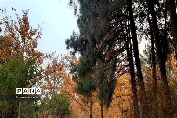 طبیعت پاییزی تهران